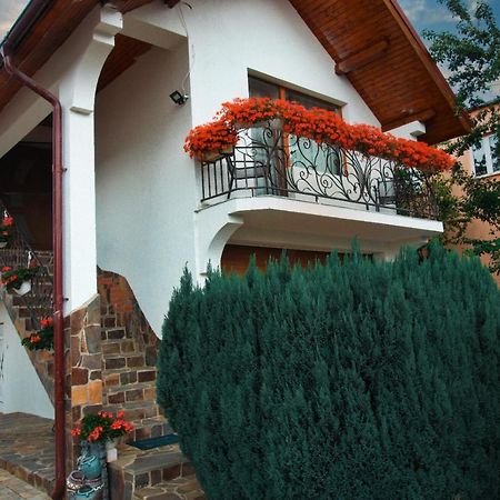 Casa Ade Villa Ocna Şugatag Exteriör bild