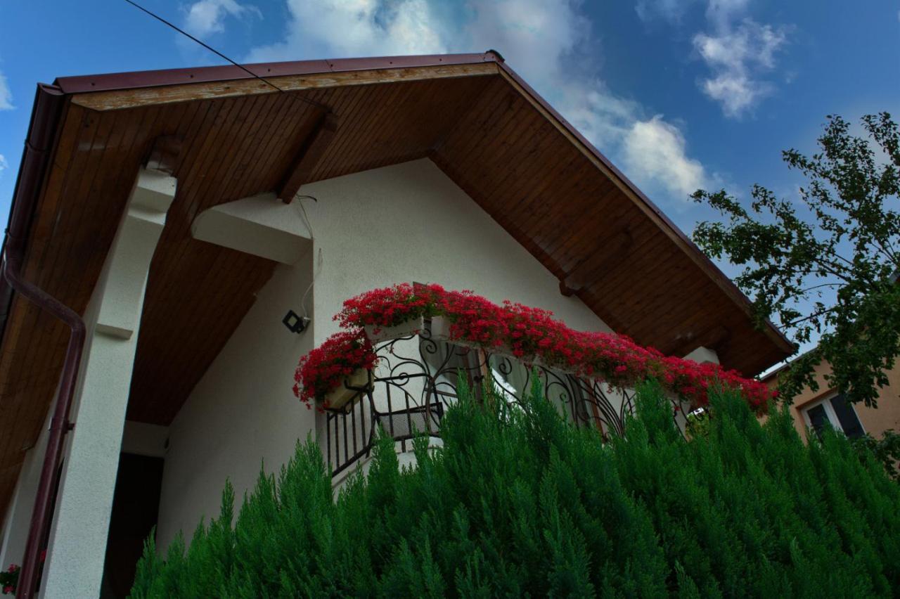 Casa Ade Villa Ocna Şugatag Exteriör bild