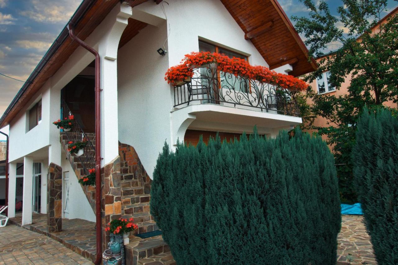 Casa Ade Villa Ocna Şugatag Exteriör bild