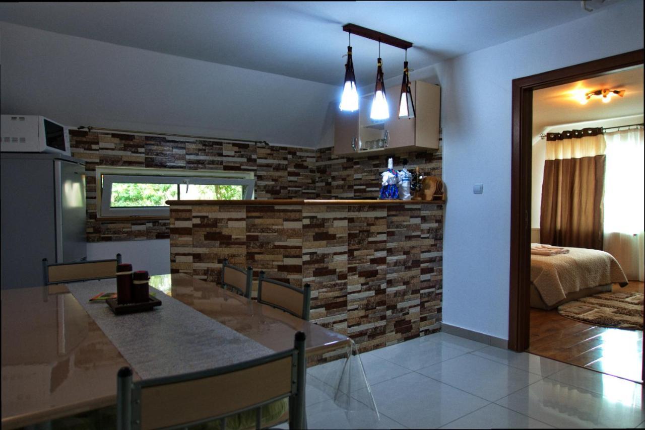 Casa Ade Villa Ocna Şugatag Exteriör bild